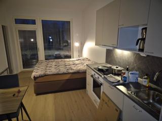 2nd floor, 33m2 1-bedroom app, sauna, close to the shop, airport and train station - 4