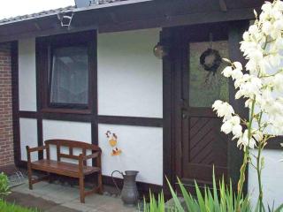 Ferienhaus Hennesee - 8