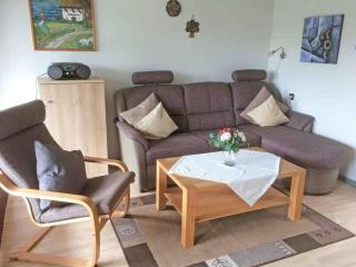 Ferienhaus Hennesee - 7