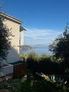Anifo Home - 2