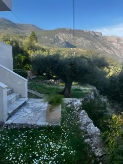 Anifo Home - 2