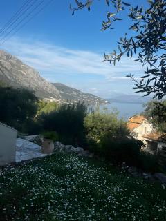 Anifo Home - 1