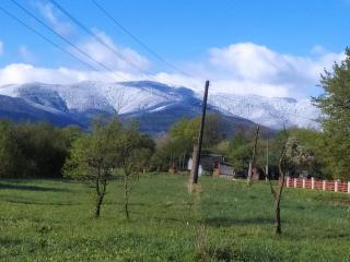 Приватна садиба За рікою - 7