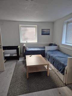 Oslo 30min train eller car, airport 31km car, 47min train - 4