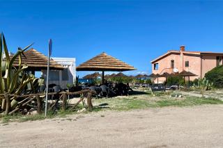 Casa Rosa - Putzu Idu - 3