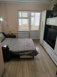 Cozy apartment in the park zone - 3