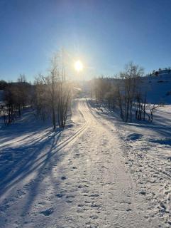 Fjellhytte i Sirdal - flott destinasjon hele året - 8