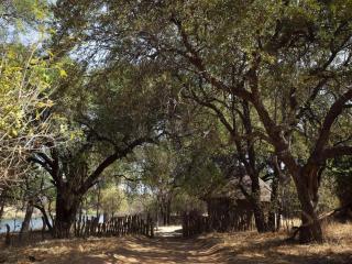 Limpopo River Lodge - 2