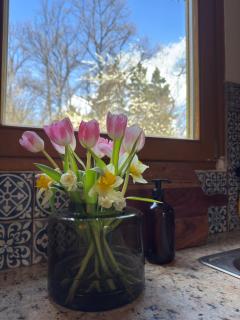 Chaloupka v lese u Kutné Hory - 1