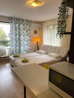 Rich-1 SP Private Apartments - 1