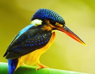 Spacious studio 4, AC, kitchenette, central location - 3