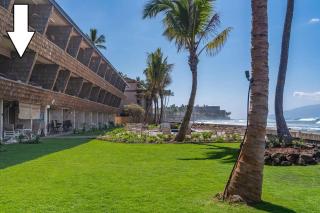 Kulakane 211 · KK 211 Updated OceanFront Whale Watching - 6