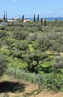 Balcony View Apartment - 2