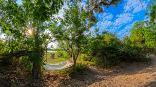 Wild Spirit Travel - 1