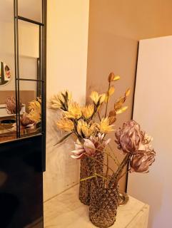 SOFIA suite - 6