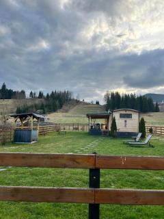 La Casuta din Ciocanesti Art - 6