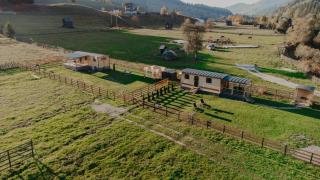 La Casuta din Ciocanesti Art - 5