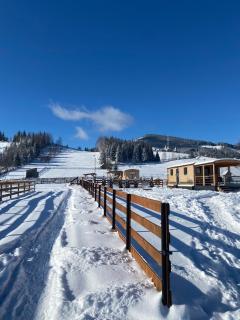 La Casuta din Ciocanesti Art - 2