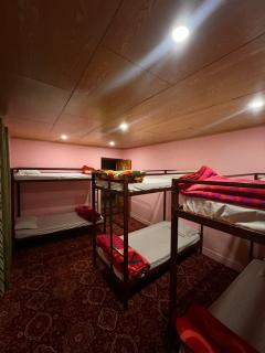 Sky Land guest house - Leh - 8