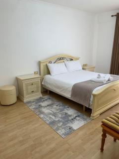 Comfort Apartment Tirana Center - 2