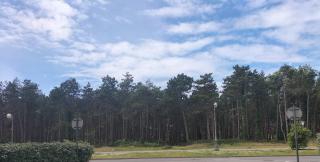 Lovely T2 with garden by the sea - 1