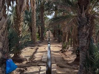 Sahara Crown Luxury Camp - 7