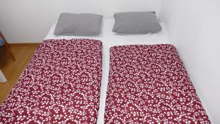 1037 - Lelle Beach House for Six - 3