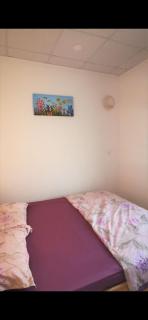 Sò Homestay, Dốc Lết Chill - 6