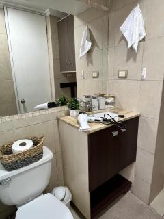 Moderno Depto, Metro, Movistar Arena, parking, downtown - 9