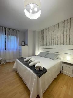 Galeno, en el centro de Cangas de Onís - 5