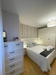 Galeno, en el centro de Cangas de Onís - 3