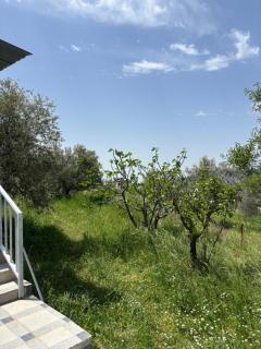 Featured House Furnished Independent for Rent - 4