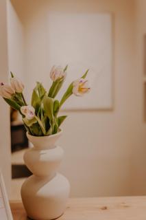 Ivory Glow Studio - Central Location - 8