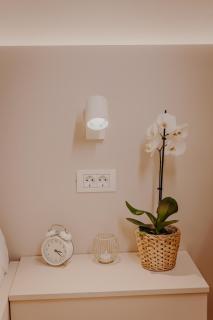 Ivory Glow Studio - Central Location - 5