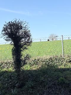 Chiemsee-Perle, stylisches Luxus-Appartement - 6