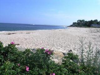 Walk to Beach and Town, Hot tub, Sleeps 8, Pet Friendly - 5