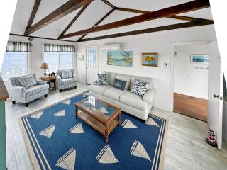 OCEANFRONT Classic beach cottage on Spring Hill Beach with great views and AC - 8