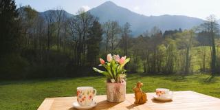 Alpenchalet-Chiemgau - 2