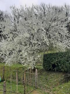 La casetta di Bianca - 9