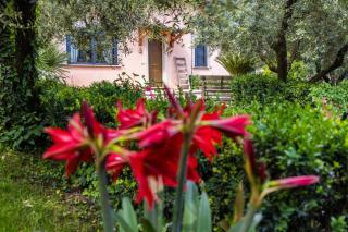 Villa Privata con Giardino e Piscina - 6