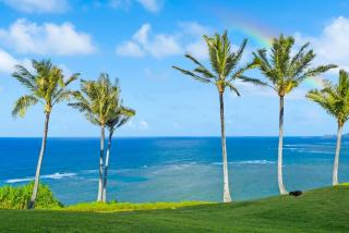 Nalu Lani Ocean Bluff Haven Breathtaking View - 9
