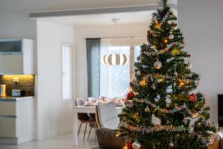 Lapland Prestige Villa Rovaniemi - 6
