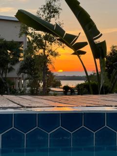 Tortuga Amarilla - 3