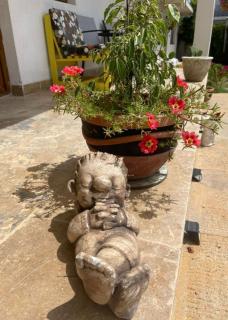 Casa Andra Vama Veche - 8