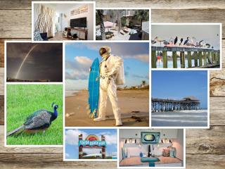 Studio Coastal 3min to beach, ez check-in - 0