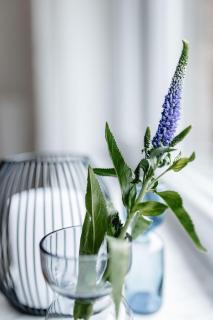 ABC Ferienwohnungen ABC Wohnung A - 7