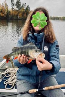 Secluded, private jetty, facing south, on the lake - 7