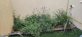 פינה של נחת במצפה רמון - 1