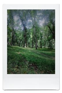 Гостница Айкөл - 8