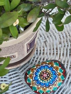 PENTHOUSE WEAVING MILL ARUBA Bed and Coffee - 5